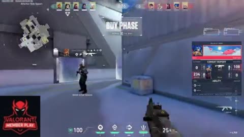 Killed by a Pro Sniper in Valorant