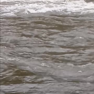 5/9/2025 Lackawaxen RIver at 5:04pm