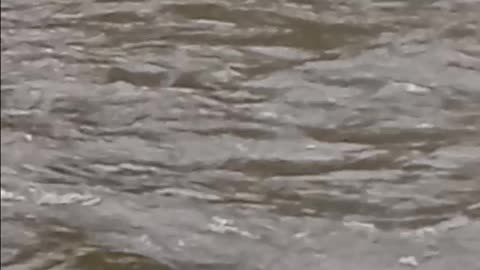 5/9/2025 Lackawaxen RIver at 5:04pm