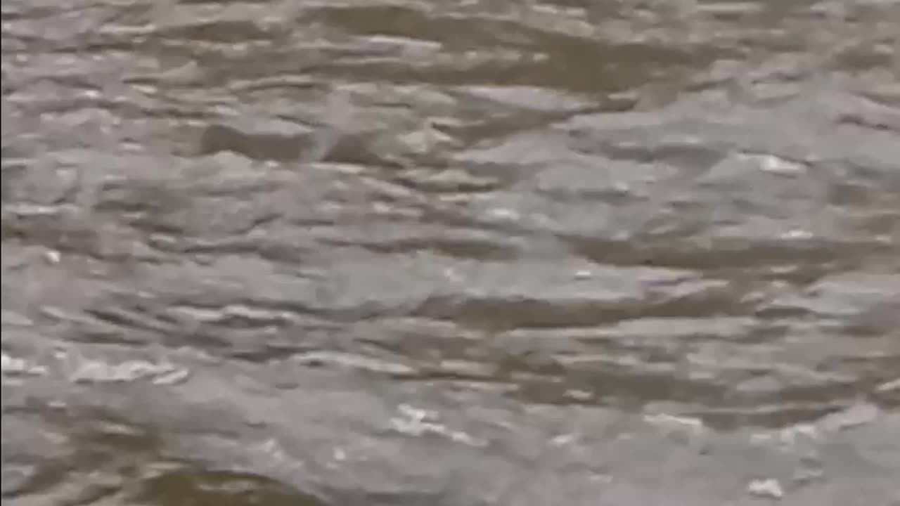 5/9/2025 Lackawaxen RIver at 5:04pm