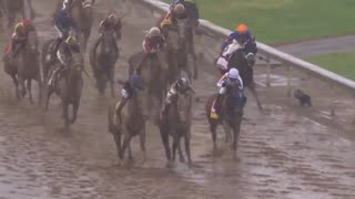 A horse named “sovereignty wins out over a horse named “journalism.”