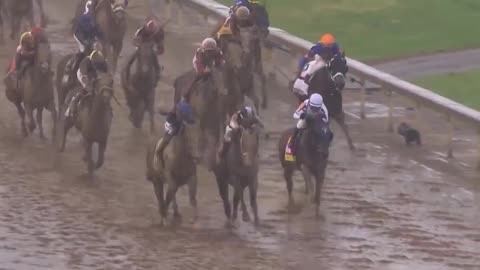 A horse named “sovereignty wins out over a horse named “journalism.”
