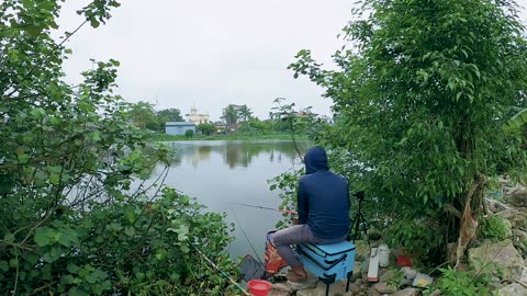 Sturgeon Sanctuary Saving the Ancient