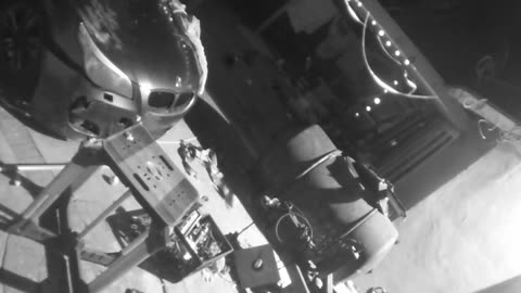 Fuzzy Object Floats Through Backyard Camera