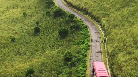 Silent Roads, Foggy Trees – A Relaxing Forest Bus Ride