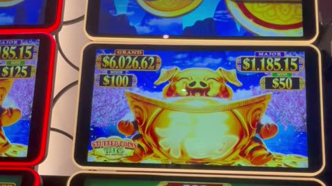 Stuffed Coins Pig Bonus 🐷🎰🎊