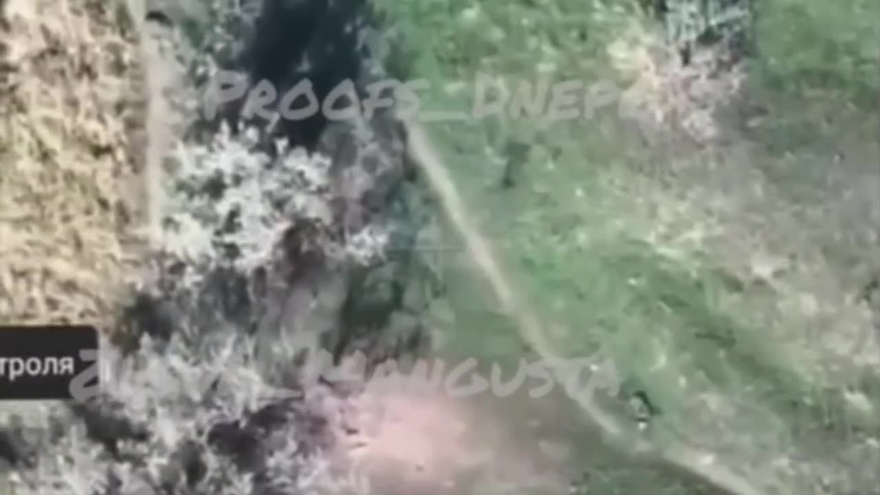 Epstein Collaborator Trump Says He Doesn't Know Why Russian Soldiers Are Dying. Neither Do They