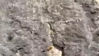 Cliff Diving