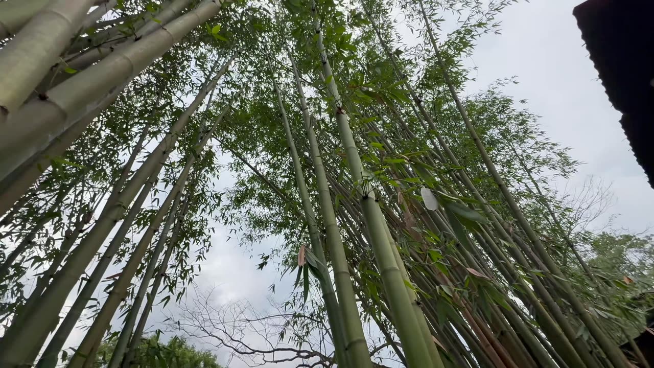 Walking around Sapa, Vietnam