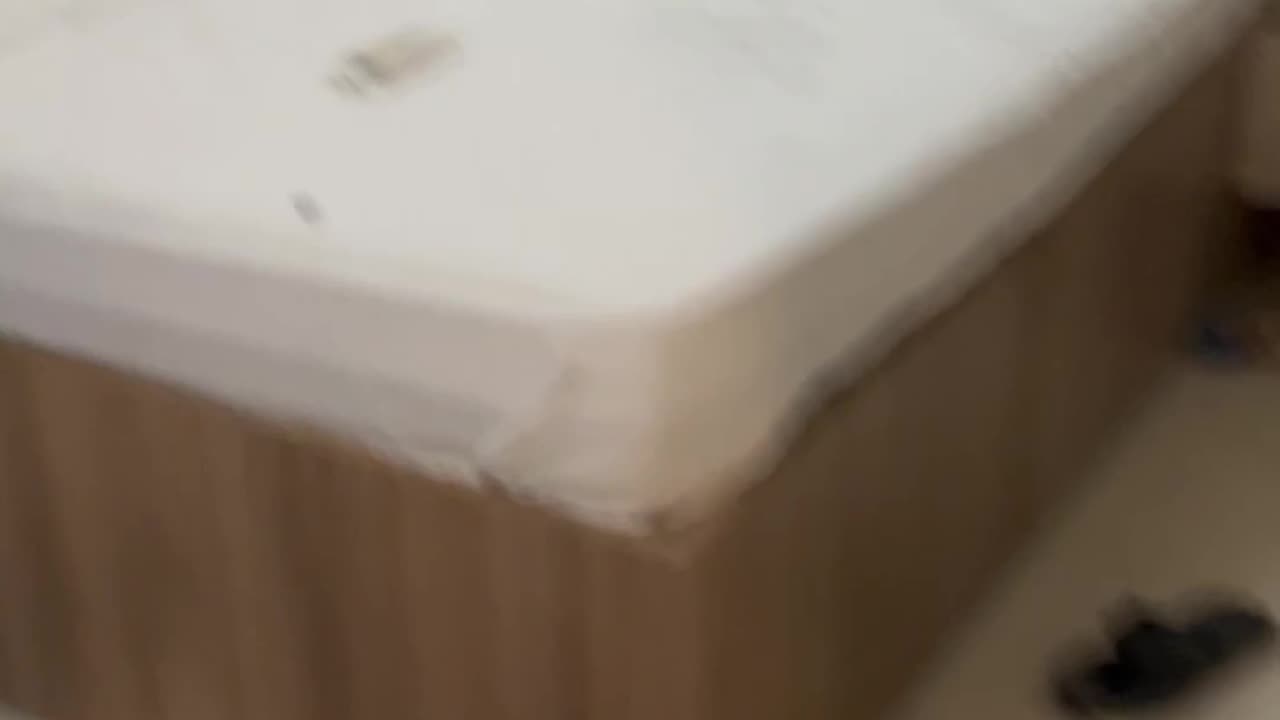 Man Tries to Mess With Monkey Who Entered Room