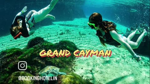 Experience Turtle Encounter in Grand Cayman