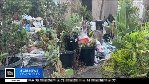 Garbage and trash returns to Los Angeles home nicknamed "Trash House"