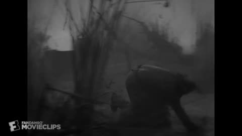 54. King Kong (1933) - Something in the Water Scene (210) Movieclips