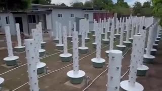 Hydro Towers (Gardening in small spaces)