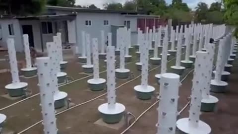 Hydro Towers (Gardening in small spaces)