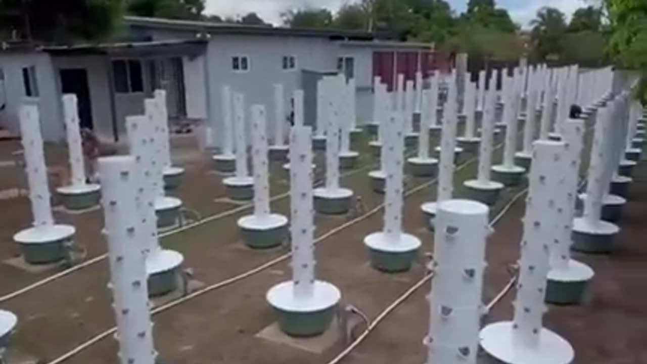 Hydro Towers (Gardening in small spaces)