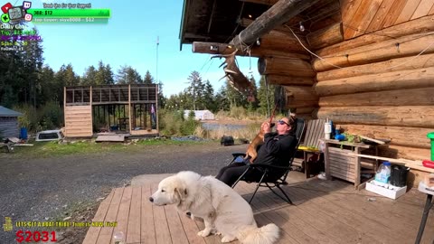 Journey to Living off the Land And Sea Freedom!! Day 346 Family Builds FARMSTEAD Dream Journey to Freedom in REMOTE ALASKAN Village | !Real !Homestead