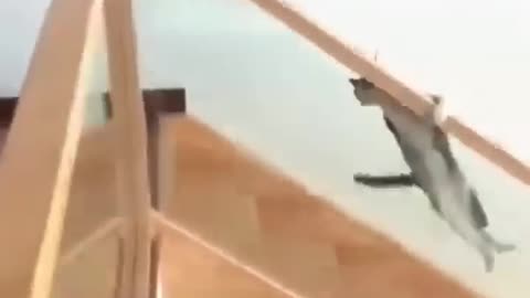 Frank
