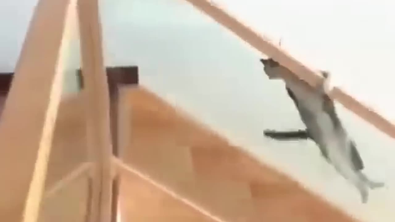 Frank