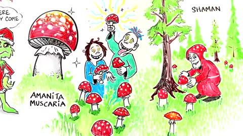 The Magic Mushroom Christmas Theory