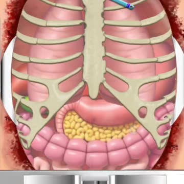 #Gaming #Gamer #LetsPlay #doctor