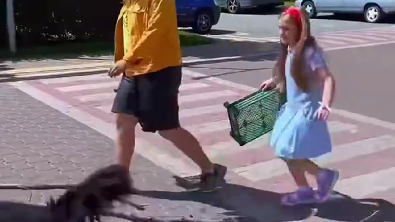Understanding and respect