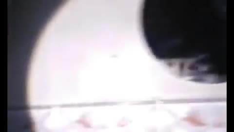 😱👻 You Won't Believe What They Caught on Camera! | TheHauntingHour