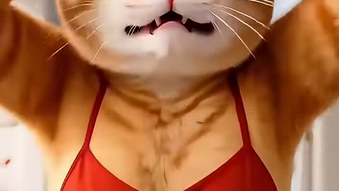 3D