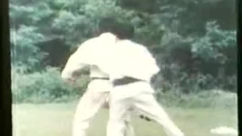 Hapkido