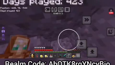 Diamond Armor, Elytra, Gapples, E-Chest AND MORE!!! Join my Anarchy Realm!