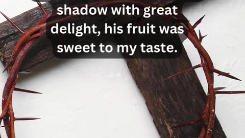 Journey of faith and spiritual growth Song of Solomon 2:3 Daily Bible Verse