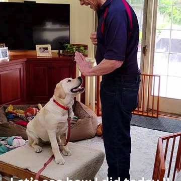 Molly's Lesson Three short 1