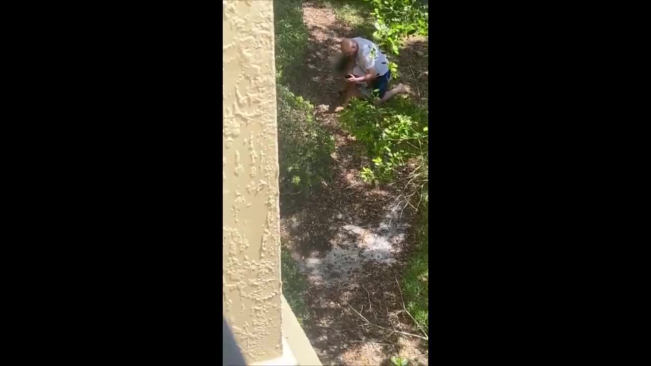 Man attacks 11-year-old girl in Tampa