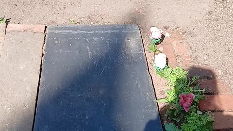 Lola was underneath slate, concrete, marble behind a fence