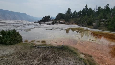Grassy Spring in Yellowstone National Park