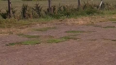 Walling Wells estate claiming invasion of privacy when they invade others privacy.