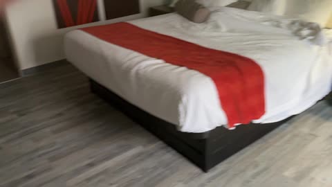 February 14, 2026 - Who Knew Mike Brady Did interior Decorating