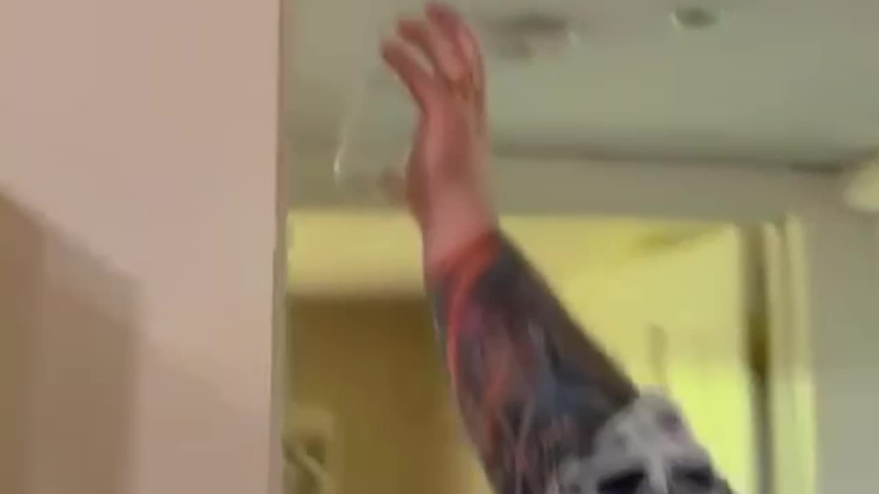 Plan vs reality 🤣