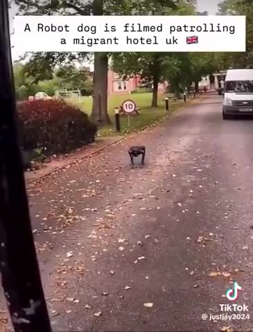 Robot dogs now patrol immigrant hotels - UK
