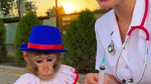 Monkey's Flower, Nurse's Needle