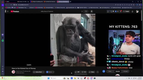 ThatsTheBruh Reaction to Daily Dose Of Internet How To Get Kicked Out Of Disney