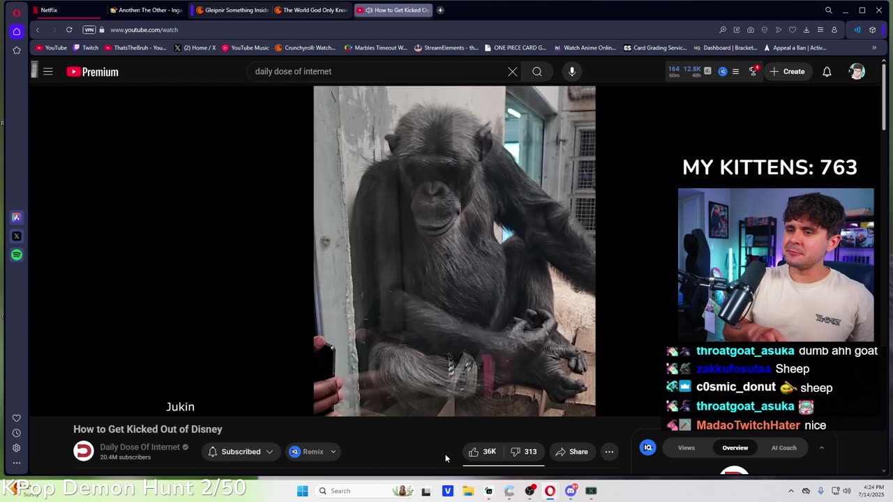 ThatsTheBruh Reaction to Daily Dose Of Internet How To Get Kicked Out Of Disney