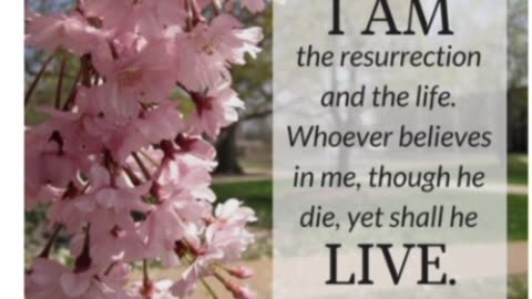 🙌Yeshua/Jesus, is the RESURRECTION and the LIFE - John 11 : 25