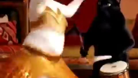 Dancing