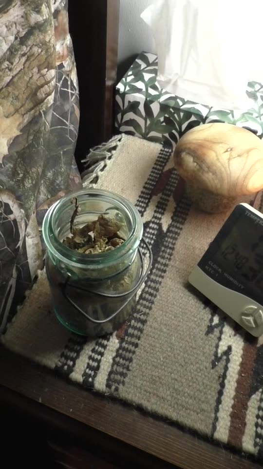 Make your own mushroom jar you will be amazed at how healthy in will make you