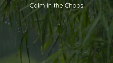 90-Second Guided Meditation for Calm in the Chaos – Find Peace in Overwhelming Moments