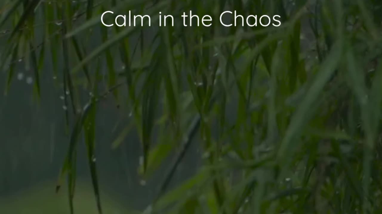 90-Second Guided Meditation for Calm in the Chaos – Find Peace in Overwhelming Moments