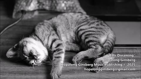 "Cats Dreaming" - Jazz