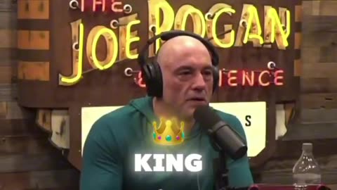 ROGAN: “With Elon Musk, you’re seeing people justifying violence and extreme