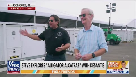 ALLIGATOR 🐊 ALCATRAZ❗